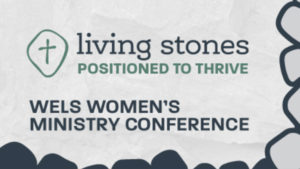 Read more about the article Women’s ministry conference – being living stones