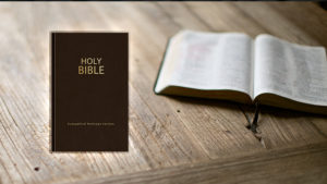 Read more about the article New Bible translation available – EHV