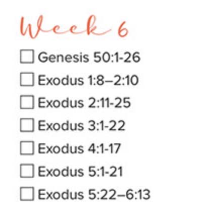 Bible reading, week 6