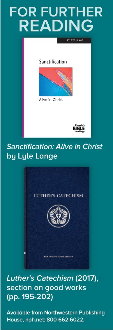 Cover of books: Sanctification and Luther's Catechism
