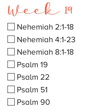 Bible Study Week 19
