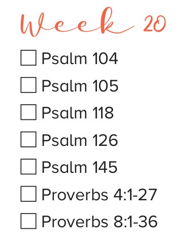 Bible Study Week 20