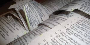 Read more about the article Hands off the Bible!