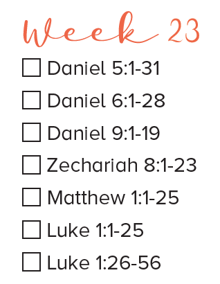 Bible Reading WEEK 23