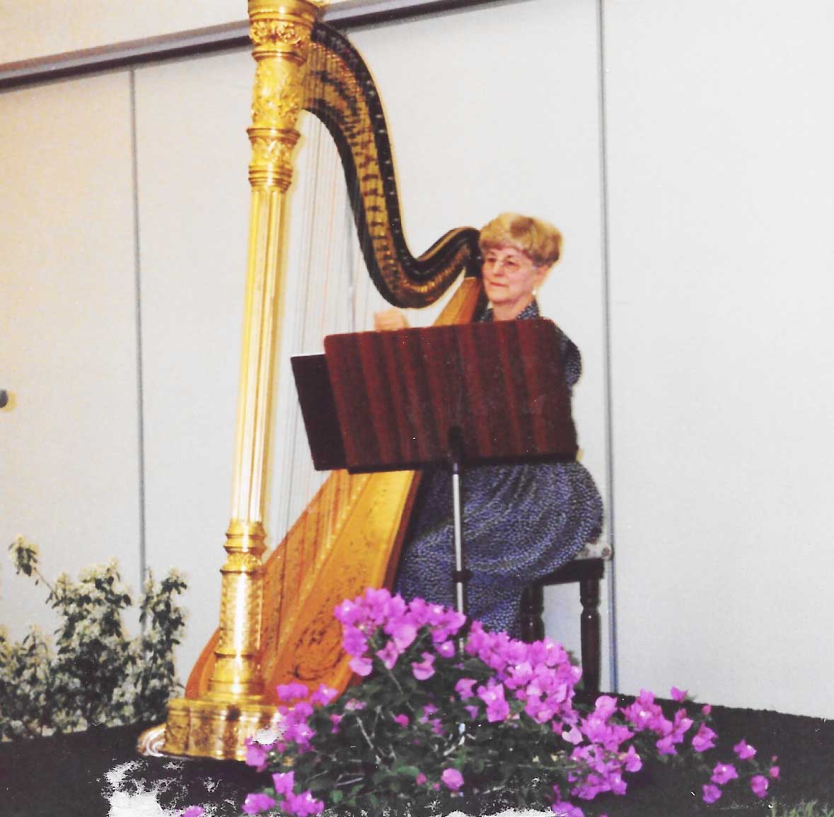 Elaine Stindt,harpist