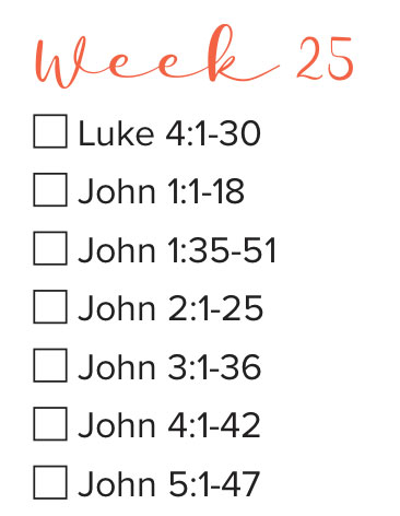Bible Study Week 25