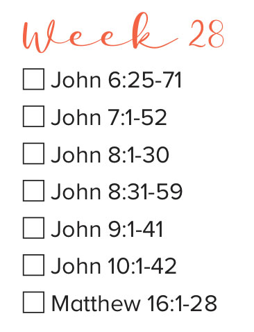 Bible Study Week 28