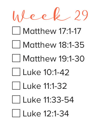 Bible Study WEEK 29
