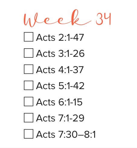 Bible Study Week 34