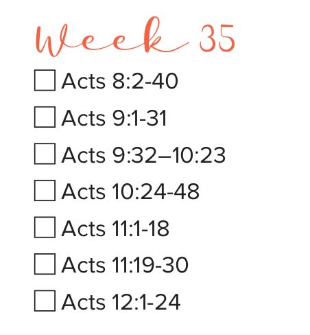 Bible Study Week 35