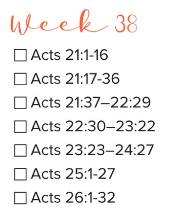 Bible Study Week 38