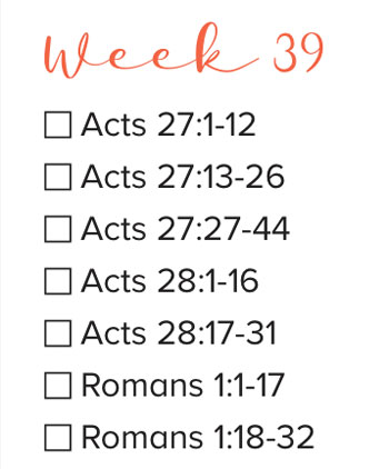 Bible Study Week 39