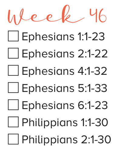 Bible Study Week 46