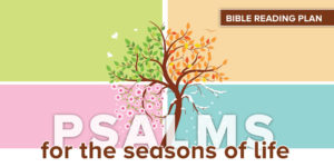 Bible reading plan tree in four seasons Psalms
