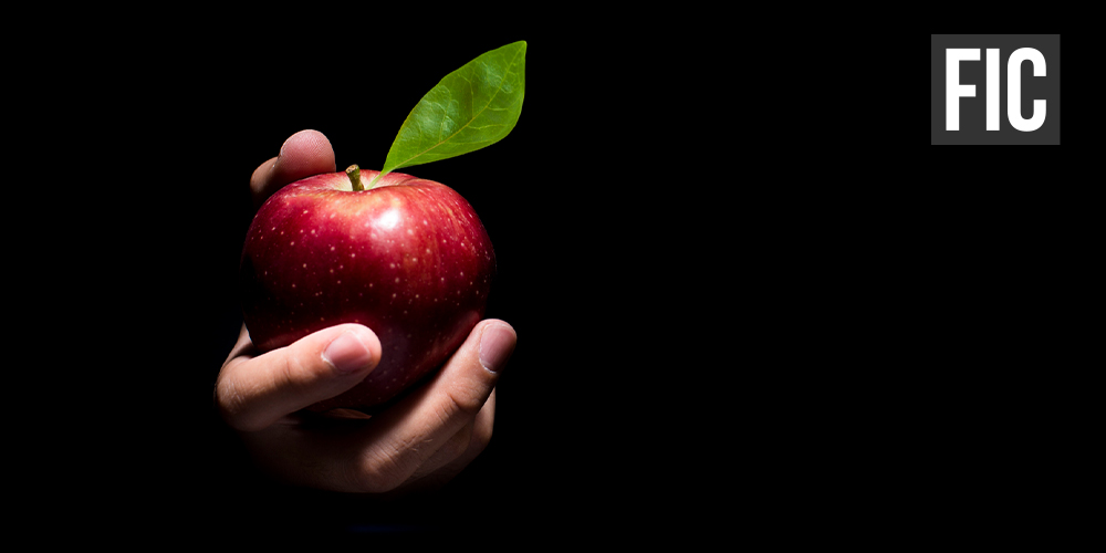 hand holding an apple