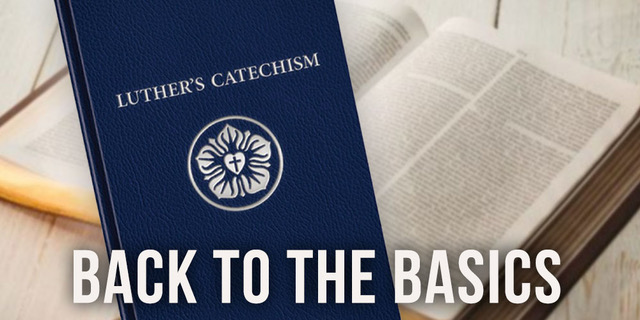 BackToBasics, Catechism