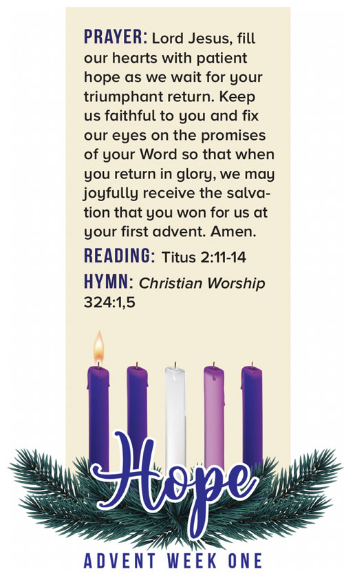 Advent candles Hope with prayer