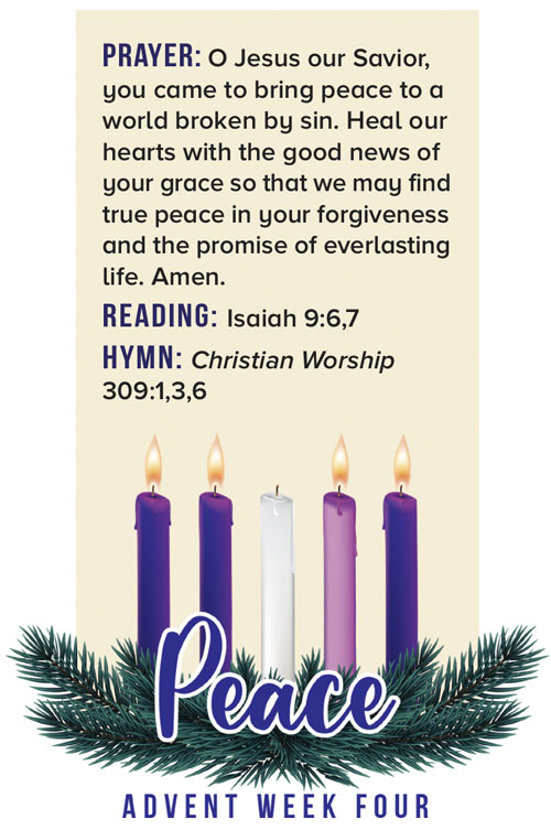 Advent candles Peace with prayer