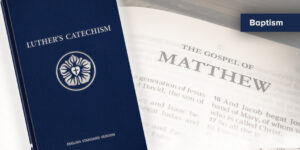 Read more about the article Catechism truths from Matthew: Baptism