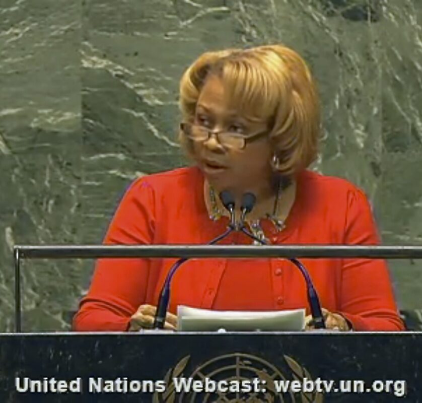 Dr. Joan Prince serving as citizen ambassador at the United Nations