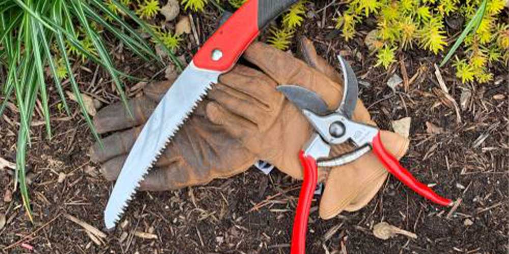 gardening tools pruner gloves