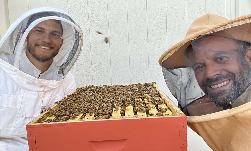 Two male members from Carbon Valley Lutheran gathering honey from bee hive box