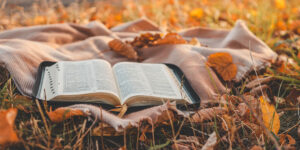 Read more about the article By faith