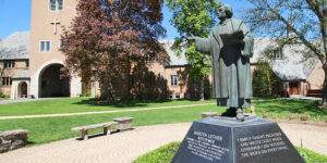 Read more about the article So much more