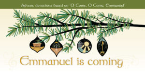 Read more about the article Emmanuel is coming