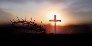 Read more about the article It’s worth it!