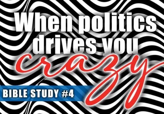 zebra pattern when politics drives you crazy #4