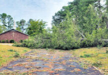 Hurricane Helene aftermath at a church trees down on driveway