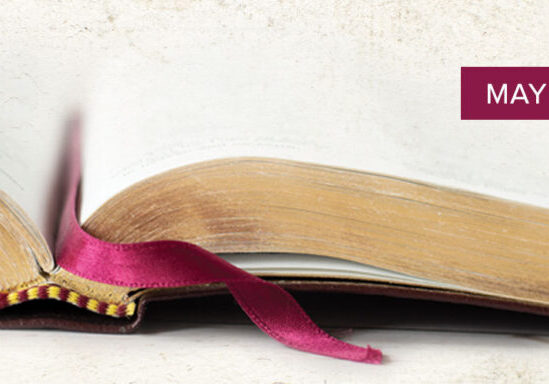close up of bible pages gold and maroon