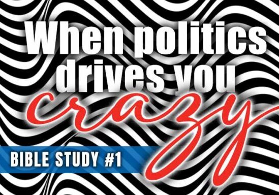 zebra print background with the title "When politics drives you crazy"